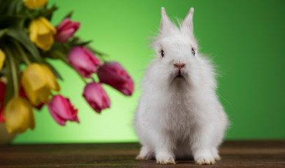 Easter decoration, rabbits,eggs and flowers