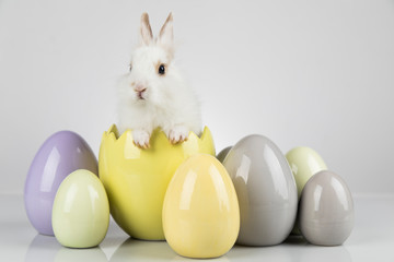 Little cute baby rabbit and easter eggs, white background