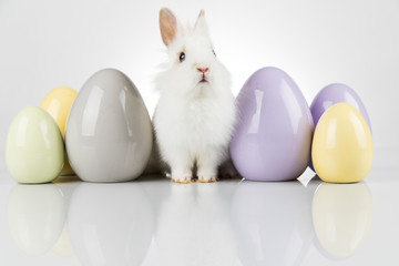 Little cute baby rabbit and easter eggs, white background