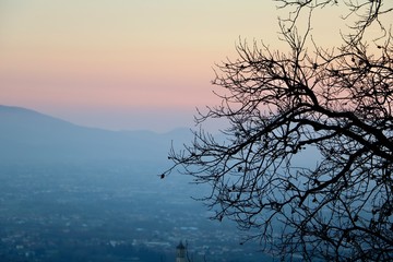 Fototapeta premium Tuscany moments 