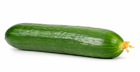 Cucumber On White Background.
