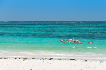 Fototapeta na wymiar Zanzibar beach and sea - Tropical island - Indian ocean - Africa