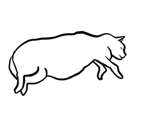 Funny hand drawn fat cat lying