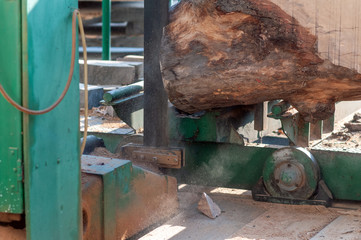 Fototapeta na wymiar Sierra industrial con tronco de madera