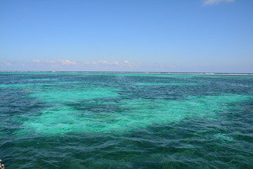 Barrière de Corail San Pedro Belize