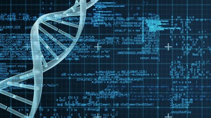 DNA model against binary codes and grid