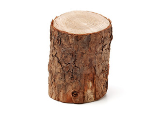 Pine logs on white background