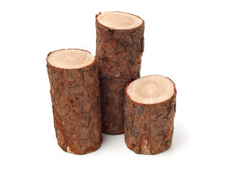 Pine logs on white background