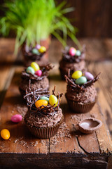 Easter nest cupcakes with chocolate whipped cream