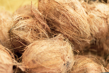 Group of small whole fresh brown coconuts on retail market close up