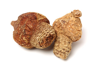 Dried raw betel or areca nut on white background