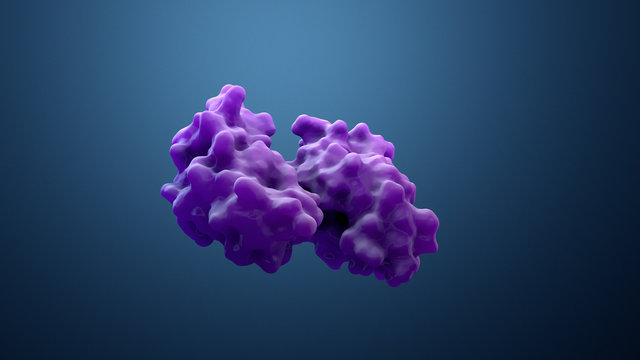 3d Illustration Protein Or Enzyme