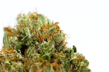 Fibers and crystals on a cannabis bud