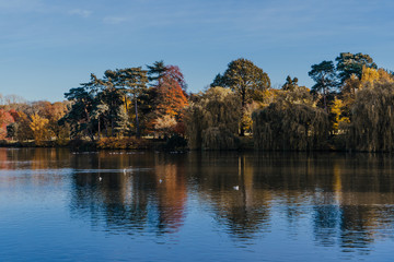Beautiful autumn garden with tree reflections in water, blue sky. Hever Castle Gardens, Kent,...