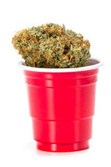 red plastic cup with weed