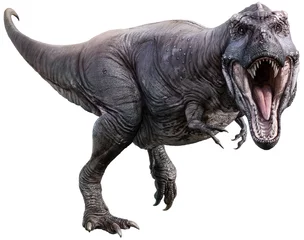 Gordijnen Tyrannosaurus 3D illustration © warpaintcobra