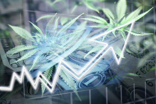 Cannabis Stocks booming In The Stock Market Concept High Quality 