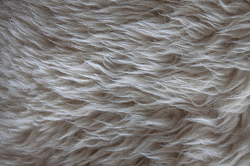 White fur for background