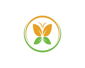 butterfly logo vector template