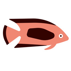 tropical fish flat illustration on white
