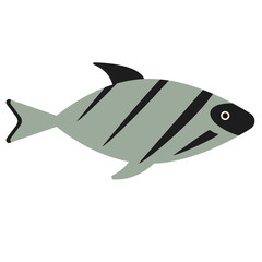 fish flat illustration on white