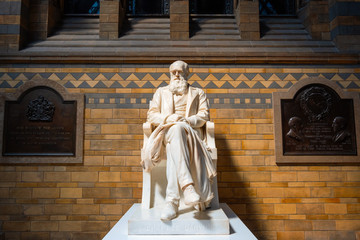 Statue of Sir Charles Darwin at The Natural History Museum in London - obrazy, fototapety, plakaty