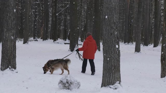 Woman in red jacket walking with a dog in winter forest