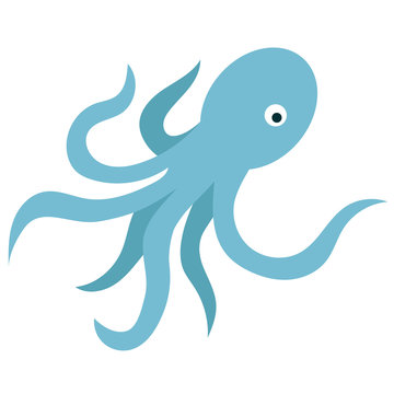 octopus flat illustration on white