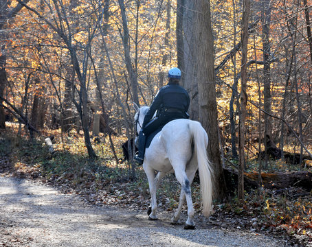 Woman riding  a white horse in park