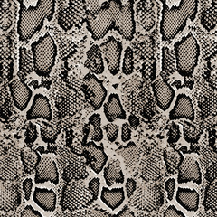 snake skin Print