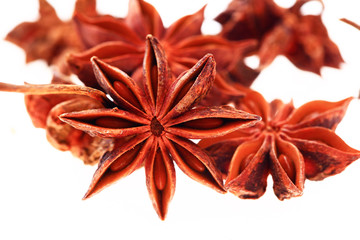 Anise isolation in the white background