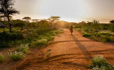 House of tribe hammer in Omo valley