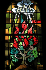 Buisson ardent. Vitrail. Chapelle Sud. Eglise Saint-Ulrich d'Altenstadt de Wissembourg. / Burning bush. Stained glass. South Chapel. Church of St. Ulrich Altenstadt Wissembourg.