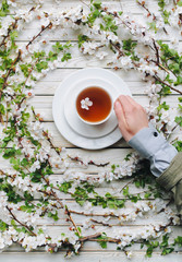 White cup, hand and saucer with black tea apricot with apricot flowering branches. Thirst for drink. The concept of herbal medicine. Top view and copy space. Treatment of cold and flu.