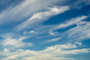 青い空と白い雲