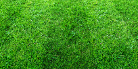 Fototapeta premium Green grass field pattern background for soccer and football sports. Green lawn pattern texture background.