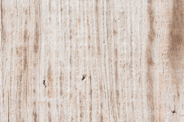 Wood Wood texture with natural pattern	