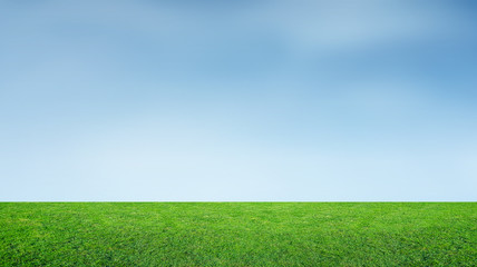 Landscape of grass field and green environment park use as natural background. Field of green grass and sky.
