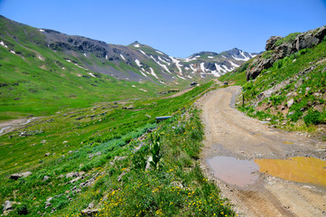 Fototapeta na wymiar Rocky Mountain Alpine meadow viewed from an offroad back country trail