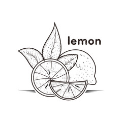 lemon hand drawn  vector