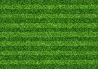 Green grass field background for soccer and football sports. Green lawn pattern and texture...