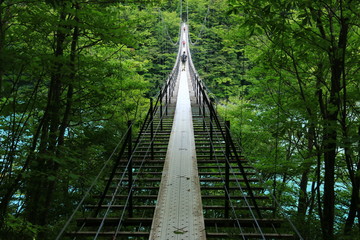 Fototapeta premium Droga do Minami Alps Hikaridake (tylko Tekari) Jezioro Hatanagi i most wiszący Hatanagi