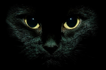 Black cat eyes watch isolated on black background - Powered by Adobe