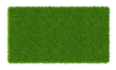 3D Render of green grass. Natural texture background. Fresh spring green grass. isolated on white background.