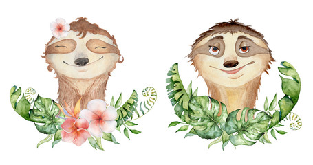 Watercolor sloth bears cute portrait hand drawn illustration