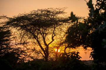 Landscape in Ethiopian in valley omo