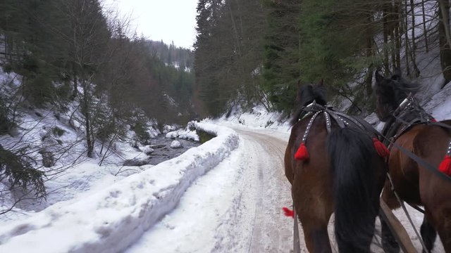 Two horses pull a sleigh in a snowy vallley next to a river. Aurs point of view.