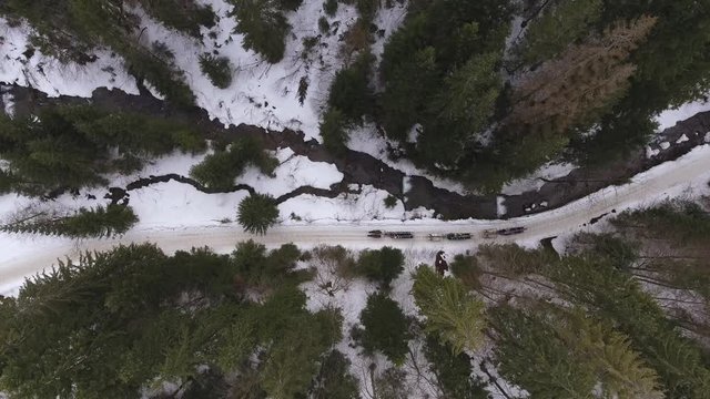 Aerial shot of three horse teams pulling carts in a narrow valley next to a stream during late winter