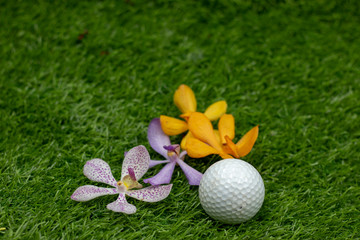Naklejka premium Golf ball with orchid flowers are on green
