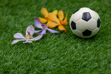 Football with orchid flowers are on green